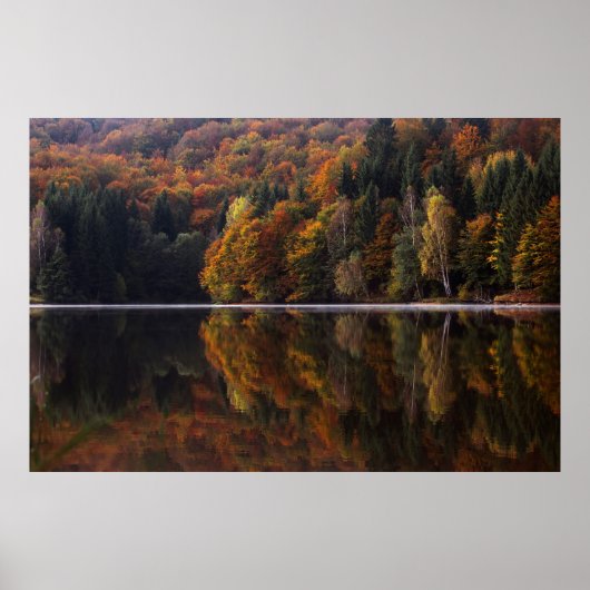 Reflektierte Farben Poster (Vorne)