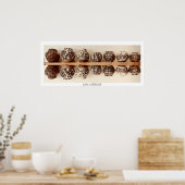 Reflektierte Poster, Poster (Küche)
