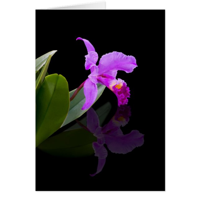 Reflektierte Schönheits-Orchideen-Karte (Vorne)