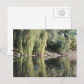 Reflektierte wilde Bäume im Fluss Postkarte (Vorne/Hinten)