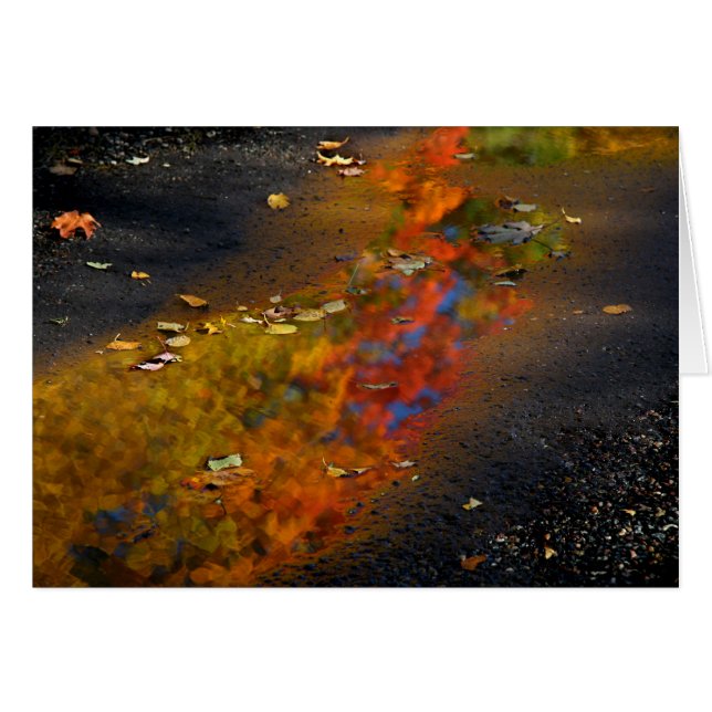 Reflektierter Ruhm (Vorderseite (Horizontal))