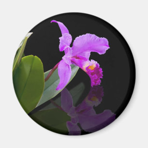 Reflektierter Schönheits-Orchideen-Magnet Magnet