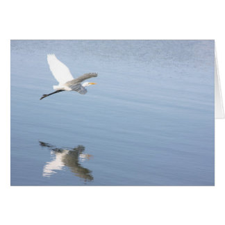 Reflektion