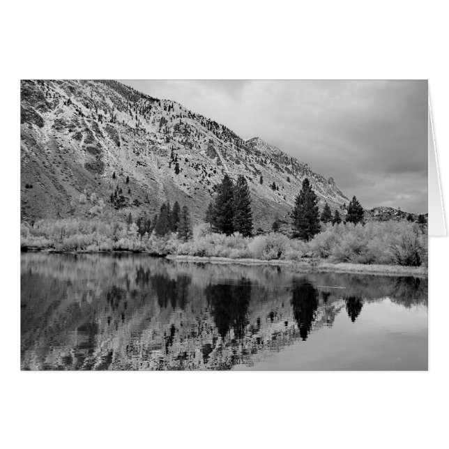 Reflektion (Vorderseite (Horizontal))