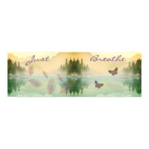 Reflektion der Zitrusfrüchte