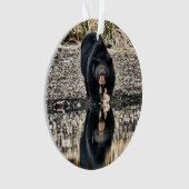 Reflektion des schwarzen Bären Ornament (Vorderseite)