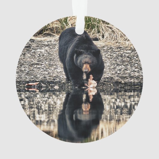 Reflektion des schwarzen Bären Ornament (Rückseite)