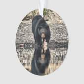 Reflektion des schwarzen Bären Ornament (Vorderseite)