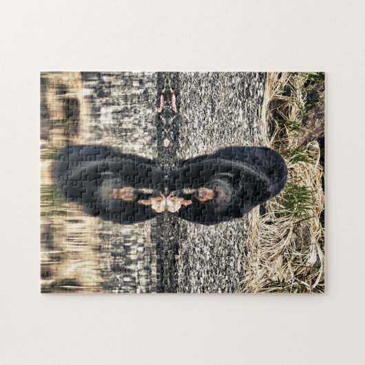 Reflektion des schwarzen Bären Puzzle (Horizontal)