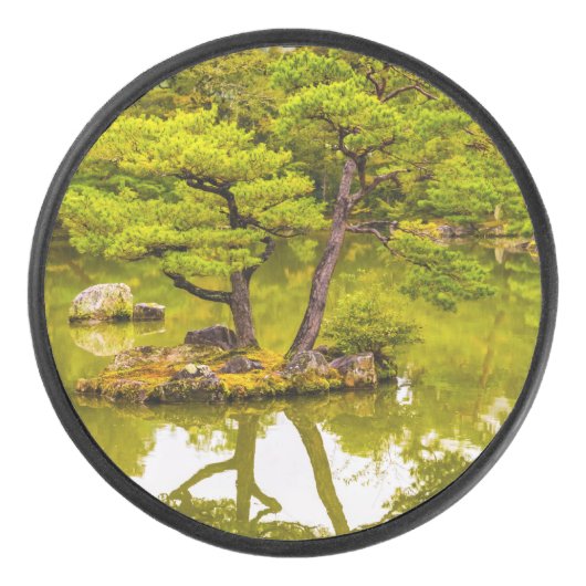 Reflektion Eishockey Puck (Vorderseite)