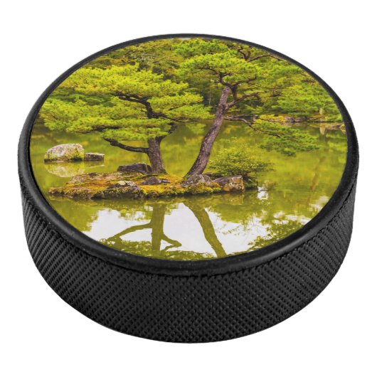 Reflektion Eishockey Puck (3/4)