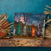 Reflektion | Farbige Glasvasen im Fensterbereich Fotoplatte (Seite)