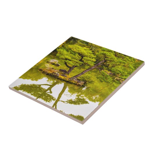 Reflektion Fliese (Seite)