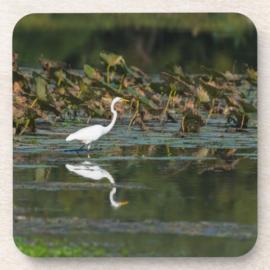 Reflektion Getränkeuntersetzer (Vorderseite)