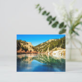 Reflektion im Elevenmile Canyon Postkarte (Stehend Vorderseite)