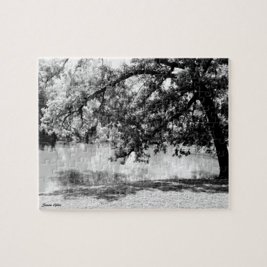 Reflektion im Puzzle de l'Europe (Horizontal)