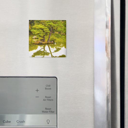 Reflektion Magnet (In Situ (Kühlschrank))