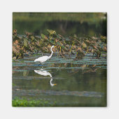 Reflektion Magnet (Vorne)