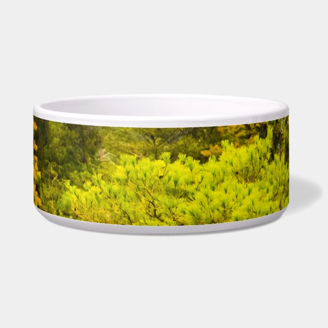 Reflektion Napf (Links)