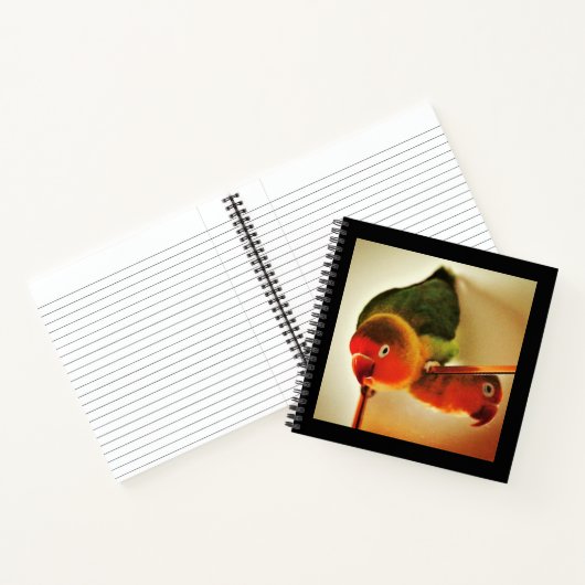 Reflektion Notizblock (Innenseite)