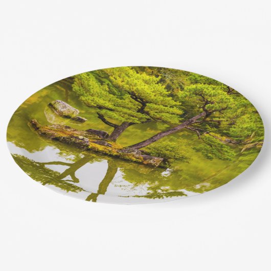 Reflektion Pappteller (Schrägansicht)