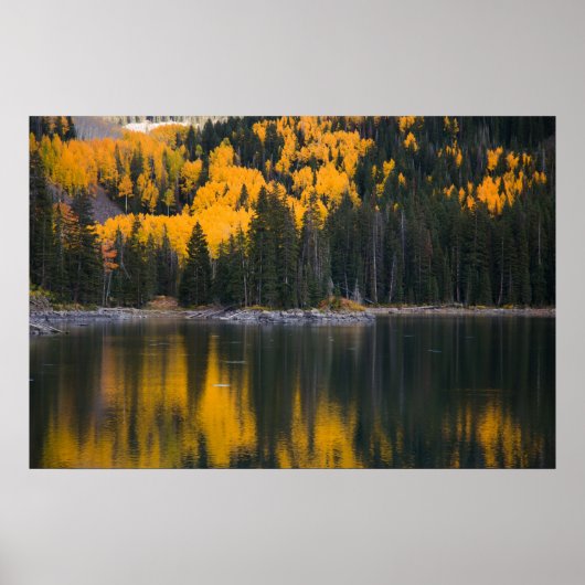 Reflektion Poster (Vorne)