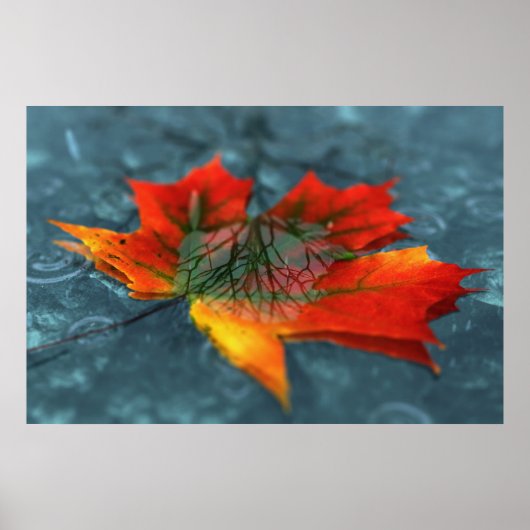 Reflektion Poster (Vorne)