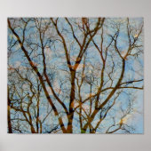 Reflektion Poster (Vorne)