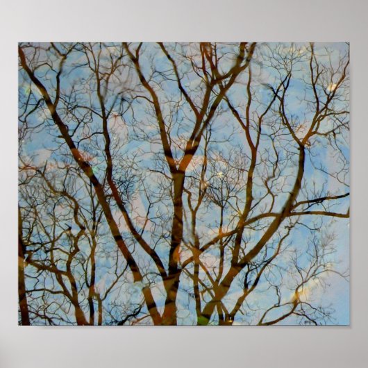 Reflektion Poster (Vorne)