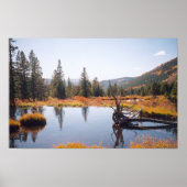 Reflektion Poster (Vorne)