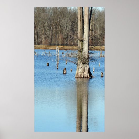 Reflektion Poster (Vorne)