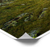 Reflektion Poster (Ecke)