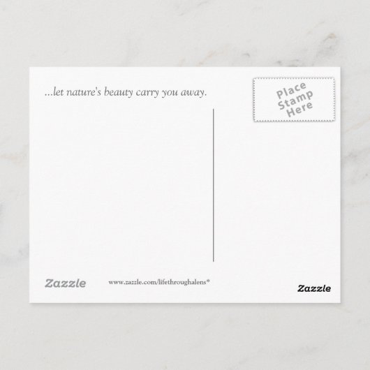 Reflektion Postkarte (Rückseite)