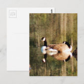 Reflektion Postkarte (Vorne/Hinten)