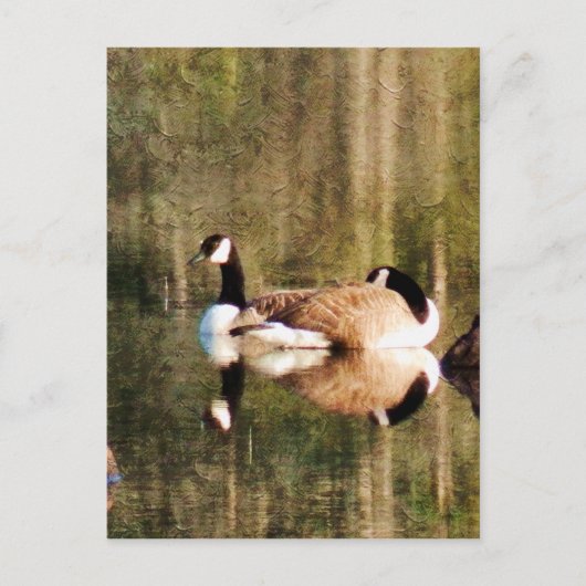 Reflektion Postkarte (Vorderseite)