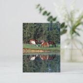 Reflektion Postkarte (Stehend Vorderseite)