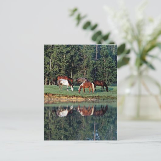 Reflektion Postkarte (Stehend Vorderseite)