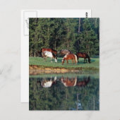 Reflektion Postkarte (Vorne/Hinten)