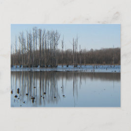 Reflektion Postkarte