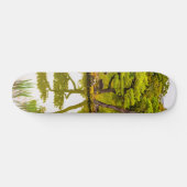 Reflektion Skateboard (Horizontal)