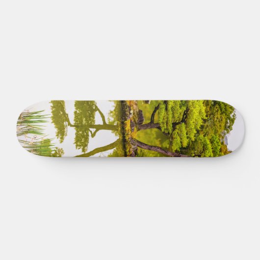 Reflektion Skateboard (Horizontal)
