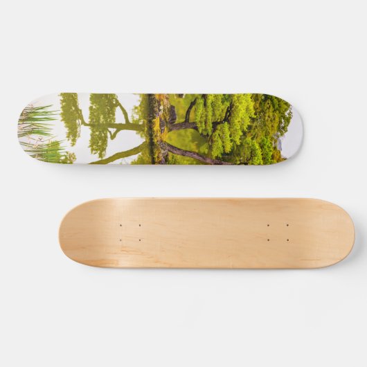 Reflektion Skateboard (Horizontal)