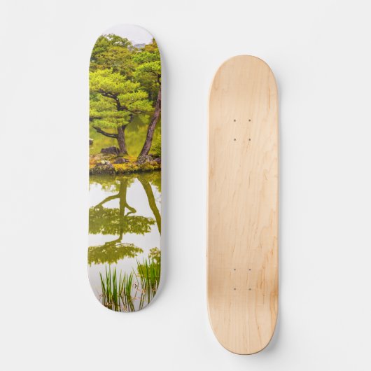 Reflektion Skateboard (Vorderseite)