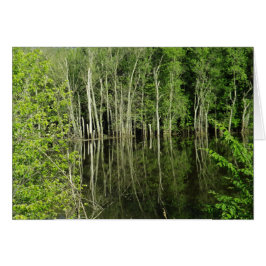 Reflektion von Bäumen in Wasserfotografie - Blanke