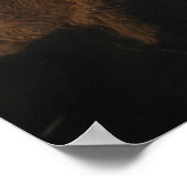 Reflektion von Pferdegetränken Poster (Ecke)