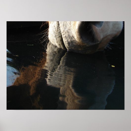Reflektion von Pferdegetränken Poster (Vorne)