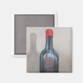 Reflektion von Pienza 2012 Magnet (Vorderseite/Rückseite)