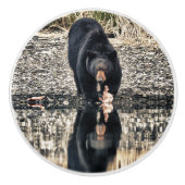 Reflektion von Schwarzbären Keramikknauf (Vorderseite)