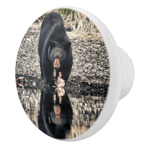 Reflektion von Schwarzbären Keramikknauf