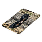 Reflektion von Schwarzbären Magnet (Linke Seite)
